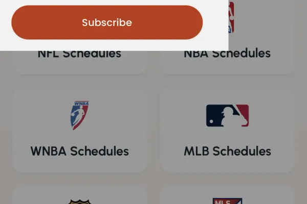 SEO strategy: Capturing every team's fans organically