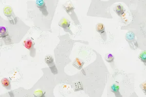Website Design & Development
